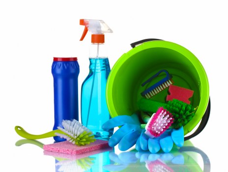 Stain removal service for carpets in a Holland Park home