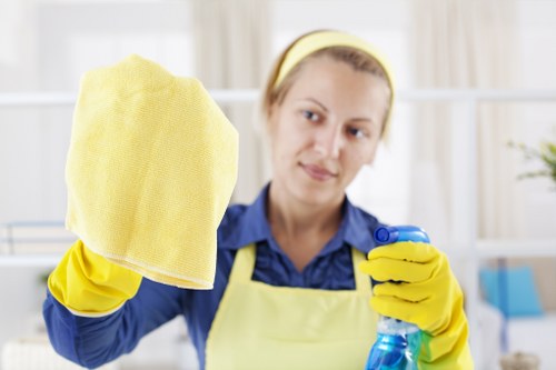 Professional house cleaning service for Holland Park homes