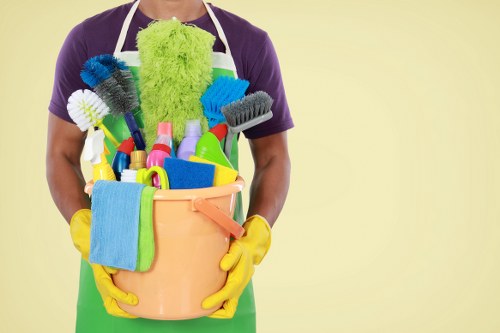 Domestic cleaning service for a Holland Park townhouse interior