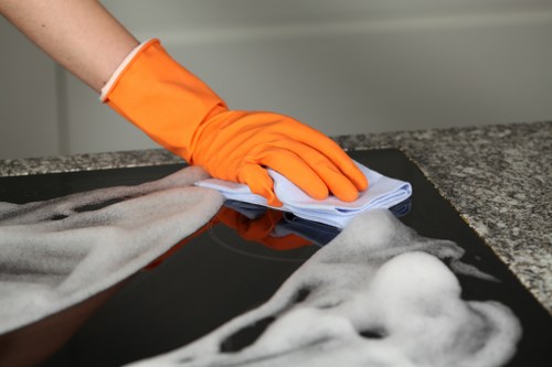 Regular domestic cleaning in a Holland Park apartment