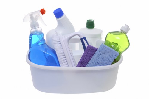Regular cleaning service for a Holland Park home interior