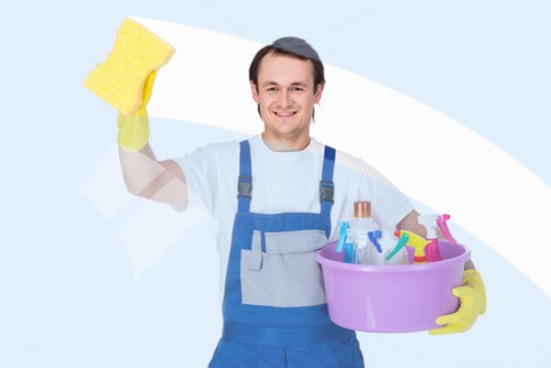 Local window cleaning for period and modern buildings in Holland Park