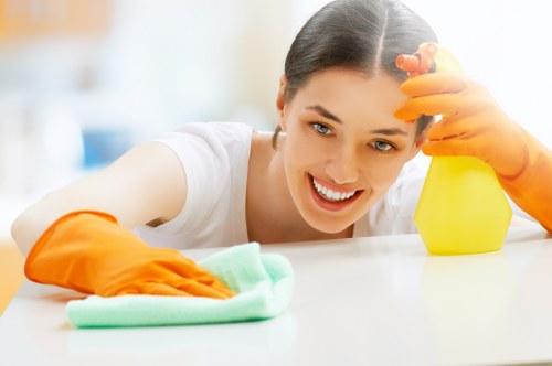 Holland Park Cleaners secure payment page with protected checkout options