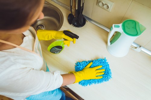 Professional mattress cleaning equipment used in Holland Park