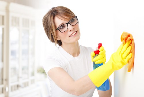 Professional oven cleaning service for a Holland Park kitchen