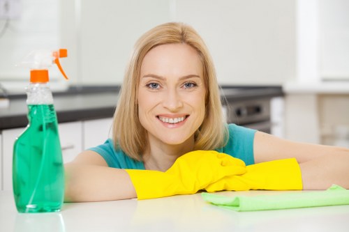 Deep cleaning kitchen and bathroom surfaces in Holland Park