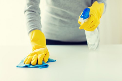 Specialist cleaning process for a delicate area rug