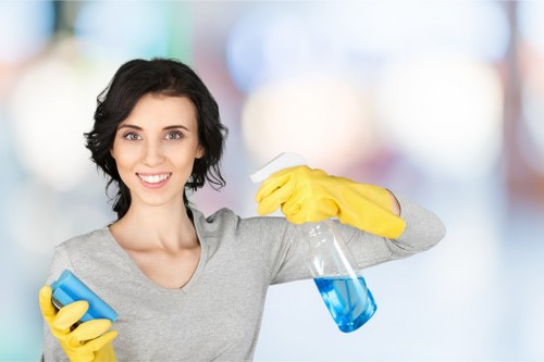 Kitchen deep cleaning in a Holland Park property