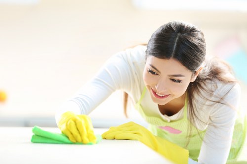 Curtain cleaning for residential and commercial spaces in Holland Park