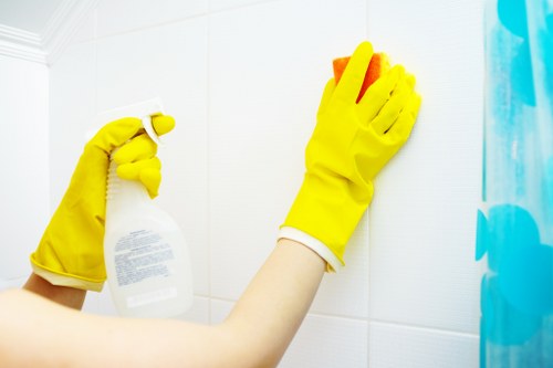Professional domestic cleaner working in a West London home