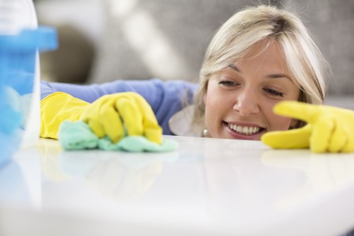 Careful sofa stain treatment in a Holland Park property