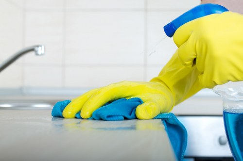 SSL-encrypted Holland Park Cleaners payment process for online transactions