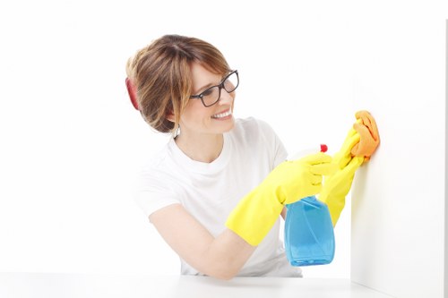 Cleaner carrying out kitchen and bathroom cleaning in Holland Park