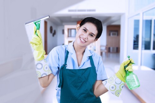 Professional cleaning for a furnished apartment near Holland Park