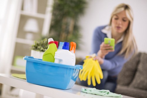 Residential and commercial window cleaning service for Holland Park properties