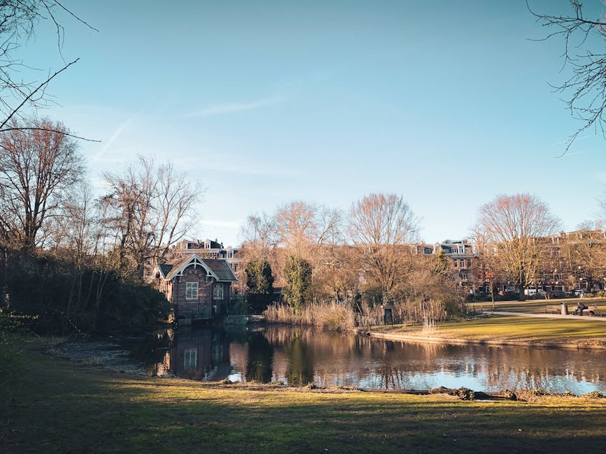 A peaceful park scene with a calm pond reflecting the surrounding leafless trees and a modern brick house with a steep gabled roof in the background. The grassy area in the foreground is well-maintained and slightly sloped, with no visible litter or debris, indicating regular cleaning and upkeep. The sunlight highlights the clarity of the water and the cool, clear sky above. The image exemplifies the importance of maintaining clean, hygienic outdoor spaces as part of a comprehensive cleaning service offered by Holland Park Cleaners, emphasizing surface cleaning and environmental hygiene in residential and commercial properties within the Holland Park area.