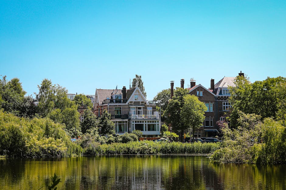 A scenic view of residential buildings in Holland Park W8, situated behind lush green trees and shrubs along a calm river on a bright, sunny day. The buildings feature a mix of traditional and modern architectural styles, with large windows, balconies, and pitched roofs. The sky is clear and blue, reflecting in the water below, which is bordered by dense foliage. This image highlights the quiet, leafy neighbourhood associated with typical domestic surroundings in Holland Park, as promoted by Holland Park Cleaners' cleaning services page.