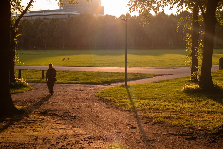 A person walking along a dirt path in a park during sunset, surrounded by tall trees with lush green leaves on both sides. The sun's warm glow creates long shadows on the ground and illuminates the grassy areas and the path. In the background, a large open grassy field and modern buildings are visible, with a lamppost standing centrally near the path. The scene captures a peaceful, well-maintained outdoor space under natural light, emphasizing the cleanliness and serenity of the park environment, as part of a landscape that complements the concept of surface cleaning and outdoor maintenance associated with Holland Park Cleaners.